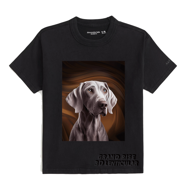 TPU-Lenticular-Fabrics-Heat-Transfer-3D-Lenticular-Printing