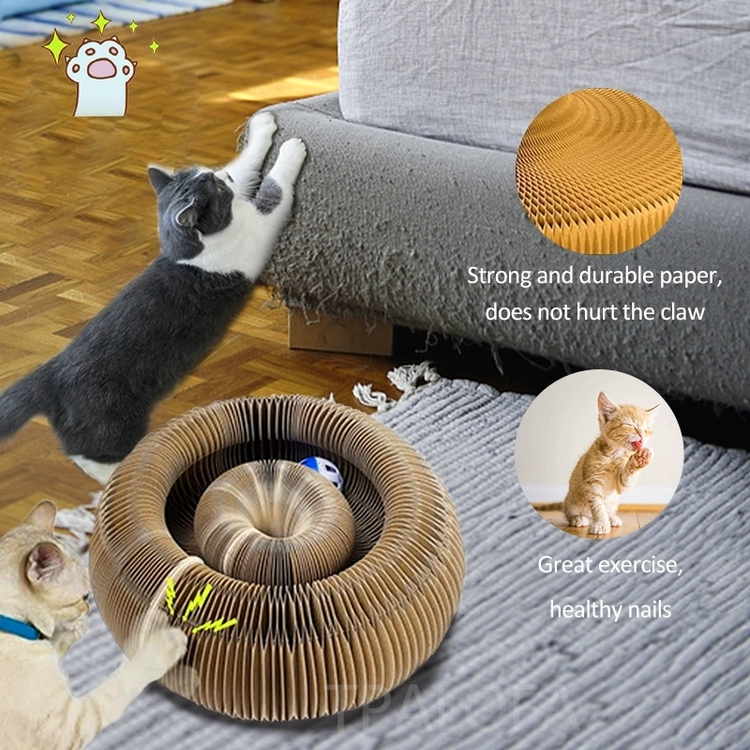 Magic Organ Cat Scratcher Board