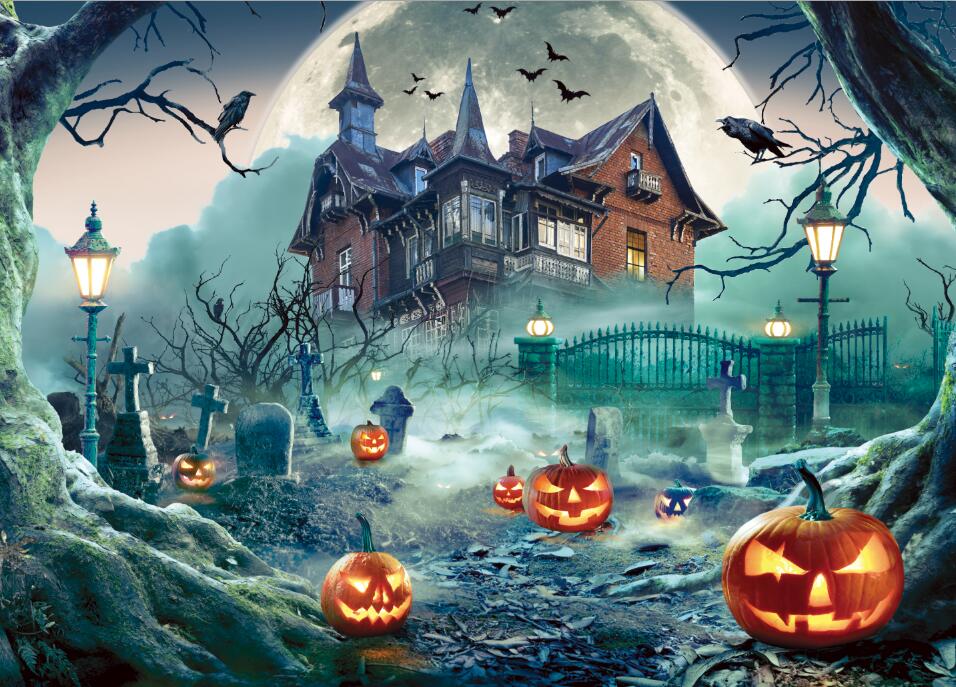 3D_Lenticular_Effect_Landscape_Original_Image