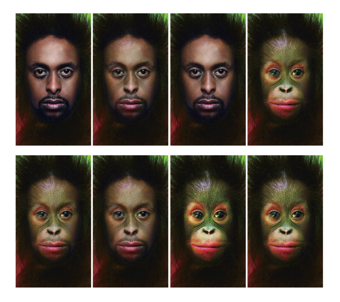 猩猩漸變男人光柵平面設計圖形檔案